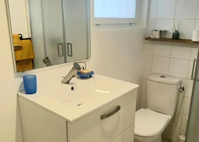 Maison Cosy, Calme , En Plein Centre