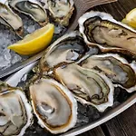 Maison Cosy, Calme , En Plein Centre Apartment *